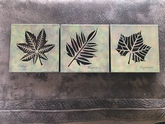 3 pc decorative steel frame