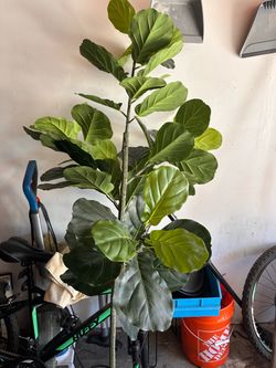Fake plant