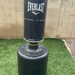 EverLast Punching Bag