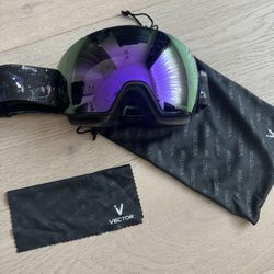 Ski Googles