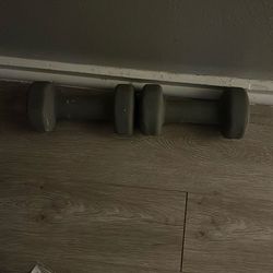 10lbs Dumbbells