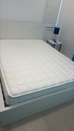 Free queen Mattress