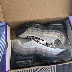 Nike Sb Cacao Wow Box Sign By Paul Rodriguez