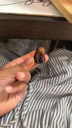 I was just eating grapes and then just looked like a capybara so I just want anything for that money and I’m gonna save it and be bids like $40 would 