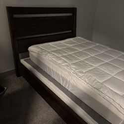 Brand New Bed Frame , Mattress And Box Spring