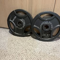 pair of 45 pound plates 