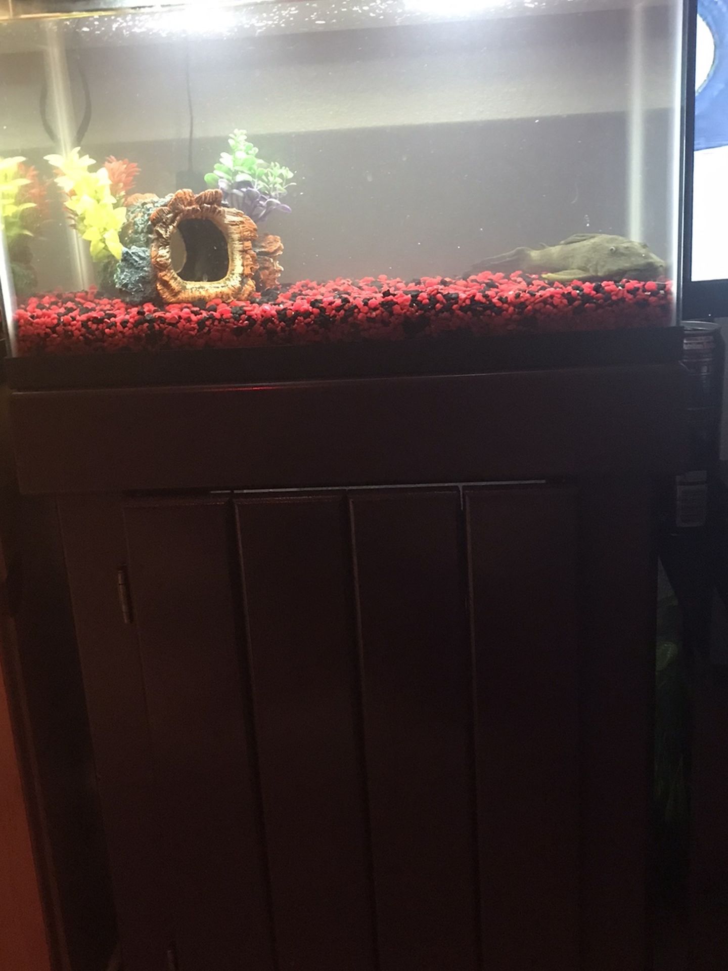 Fish Tank With Stand