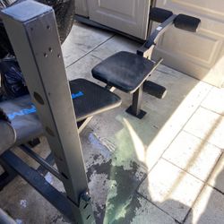 Weight Bench 
