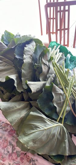 Taro leaves