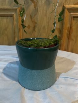 Plant Pot