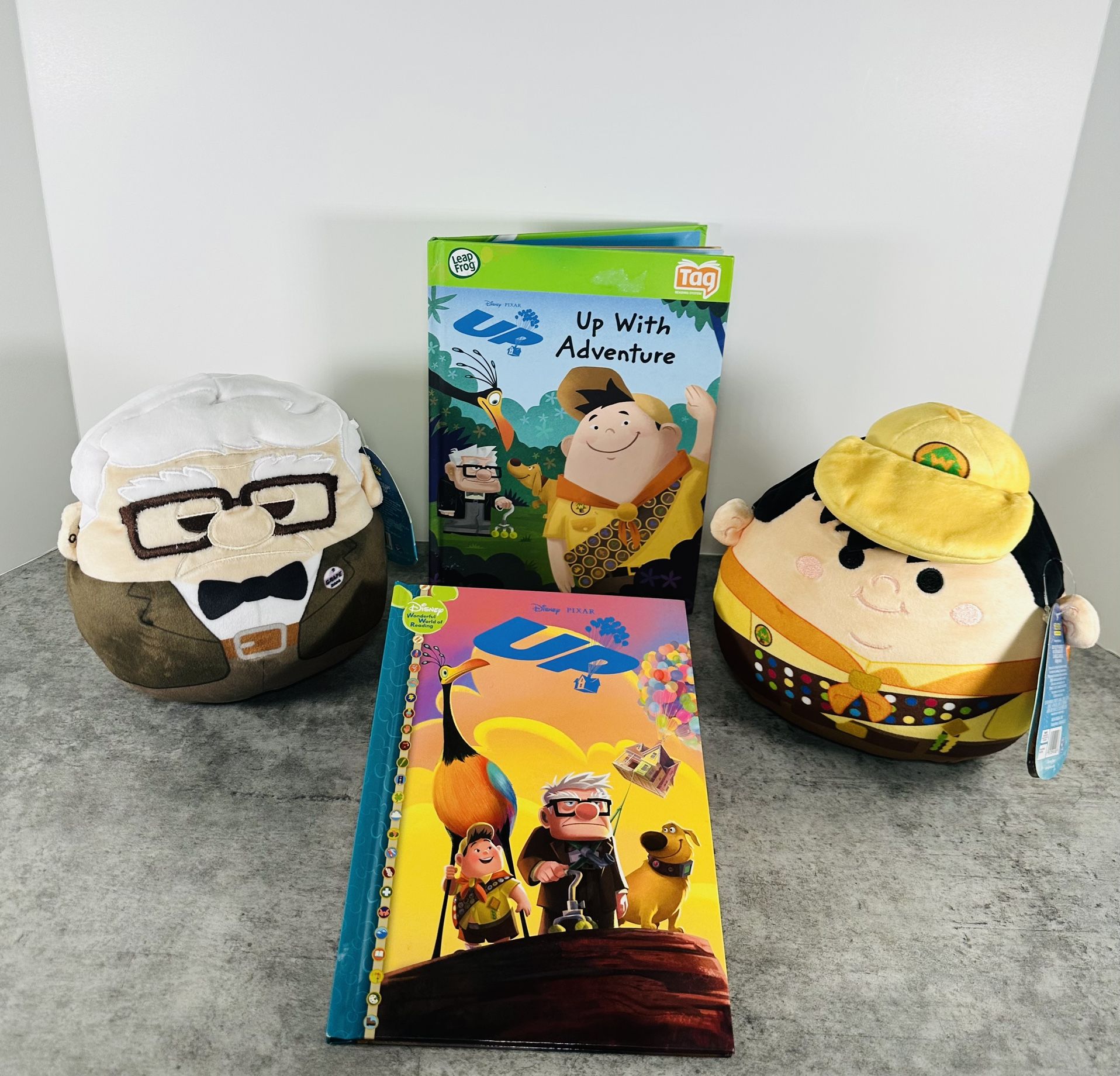 Disney Pixar Up