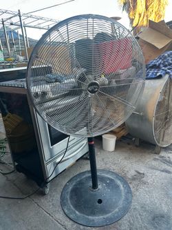 Fan
