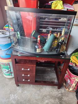 35 gl fish tank