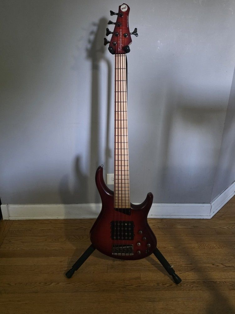 MTD Kingston 5-String Bass has powerful electronics, a premium finish, and a sleek carved body