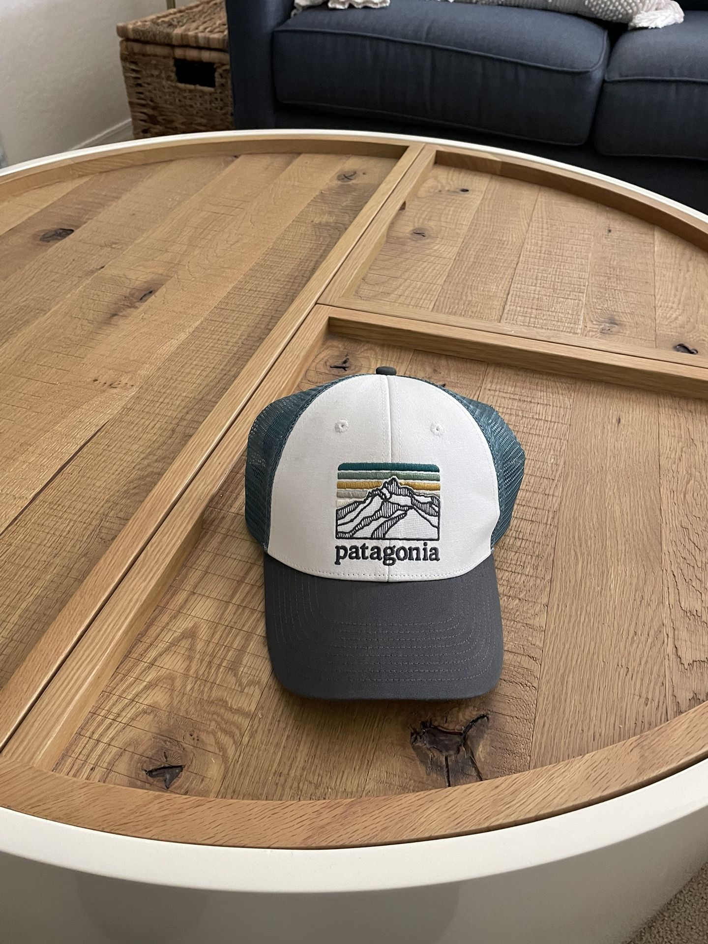 Patagonia Trucker Hat 