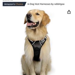 rabbitgoo Dog Harness, No-Pull Pet Harness with 2 Leash Clips, Adjustable Soft Padded Dog Vest, Reflective No-Choke Pet Oxford Vest with Easy Control 