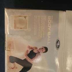 Yoga Ball With Air Pump