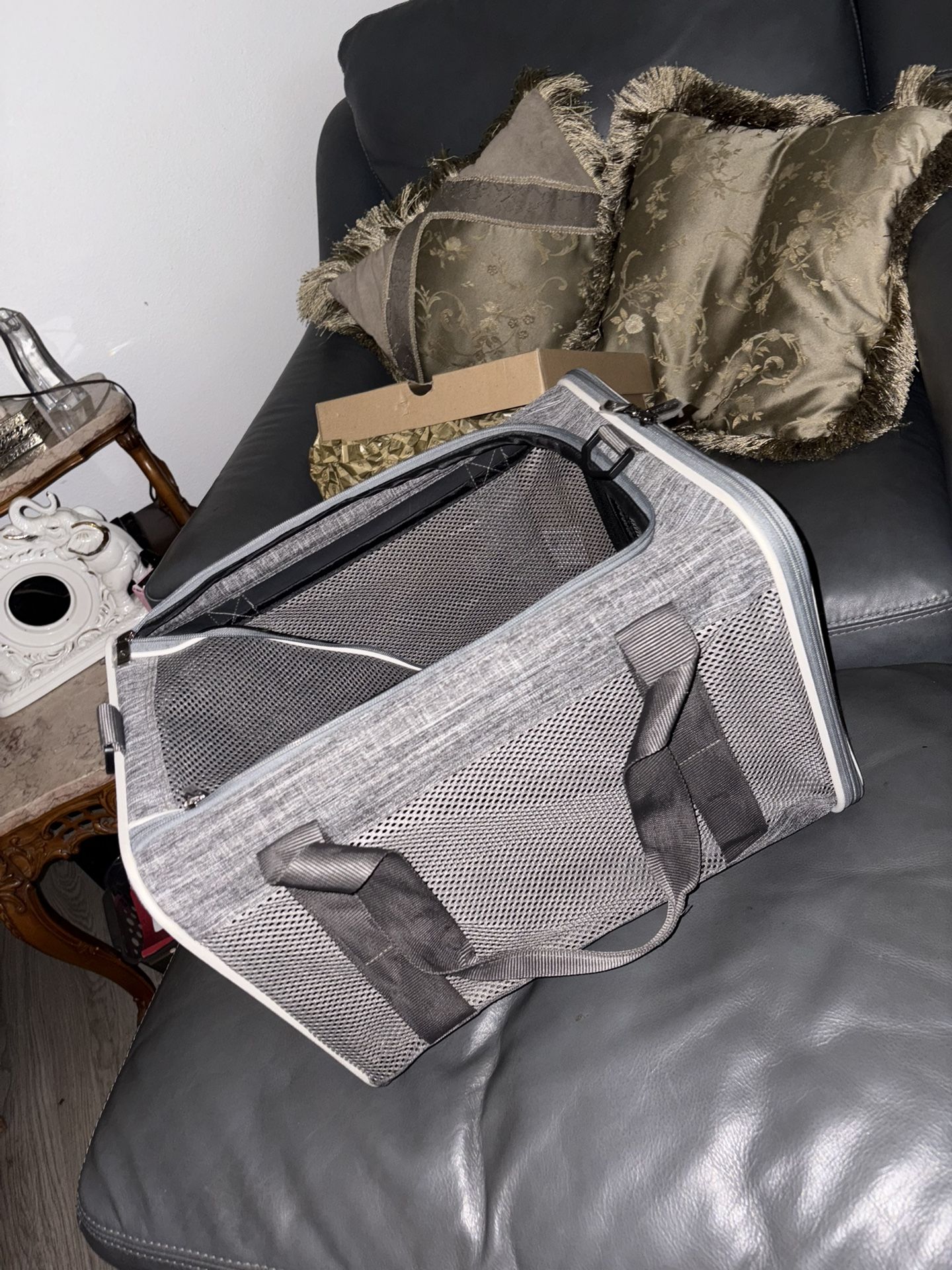 Small Animal Carrier