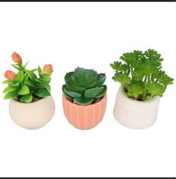 Set of 3 small artificial potted succulents