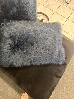2 Decor Pillows