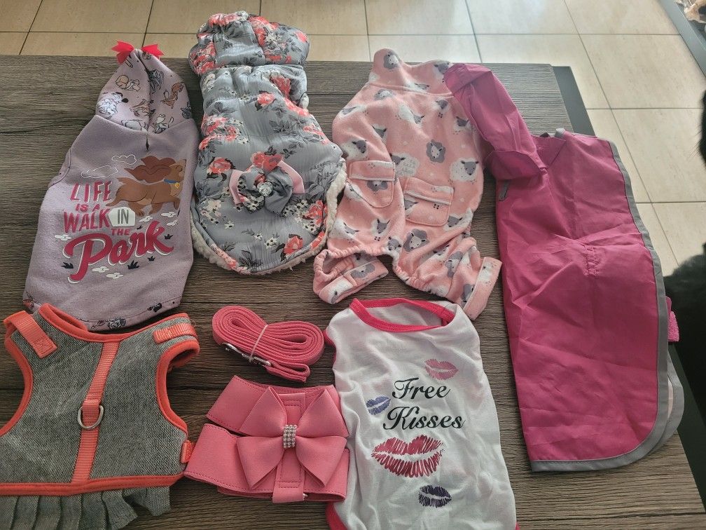  Small Dog Female Pet Clothing 