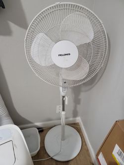 Fan