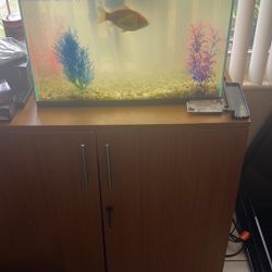 Free Fish Tank