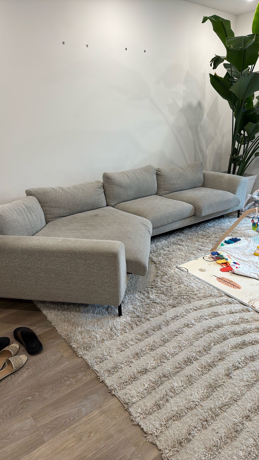 $250 Sofa OBO