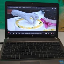 Windows 10 Laptop, Fast SSD, 14" Screen 