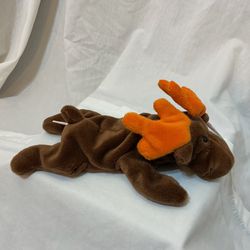 Collectors Beanie Baby Chocolate
