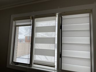 Zebra blinds