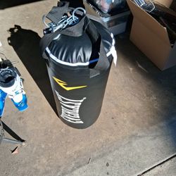 Everlasting 40 Lb Punching Bag 