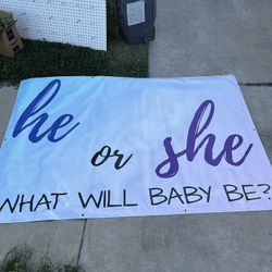Gender Reveal Banner