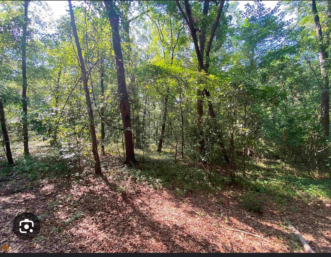 Land Forsale