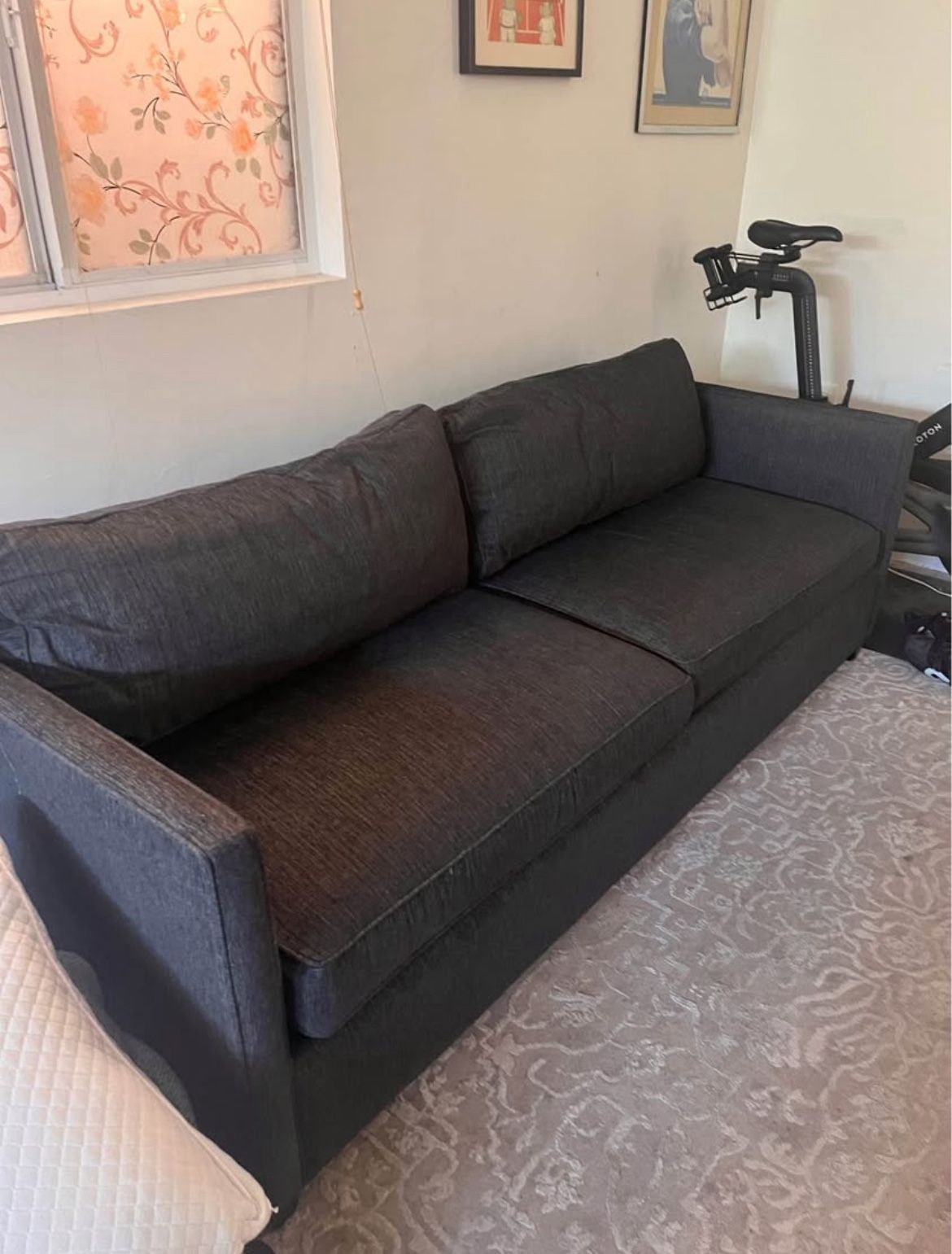 Crate And Barrel Queen Sleeper Sofa