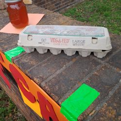 Fresh Farm Brown Eggs