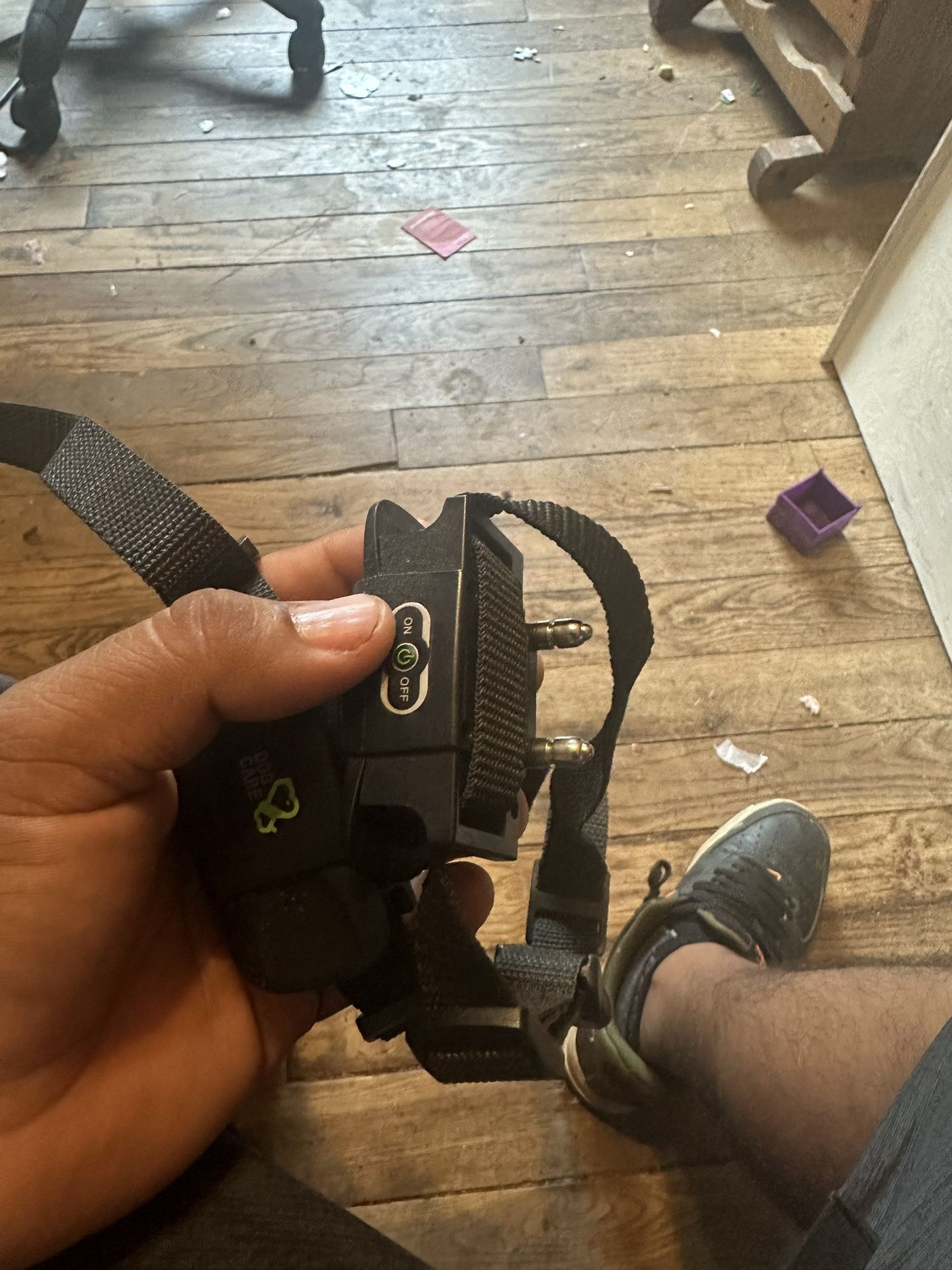 Dog Training Collars