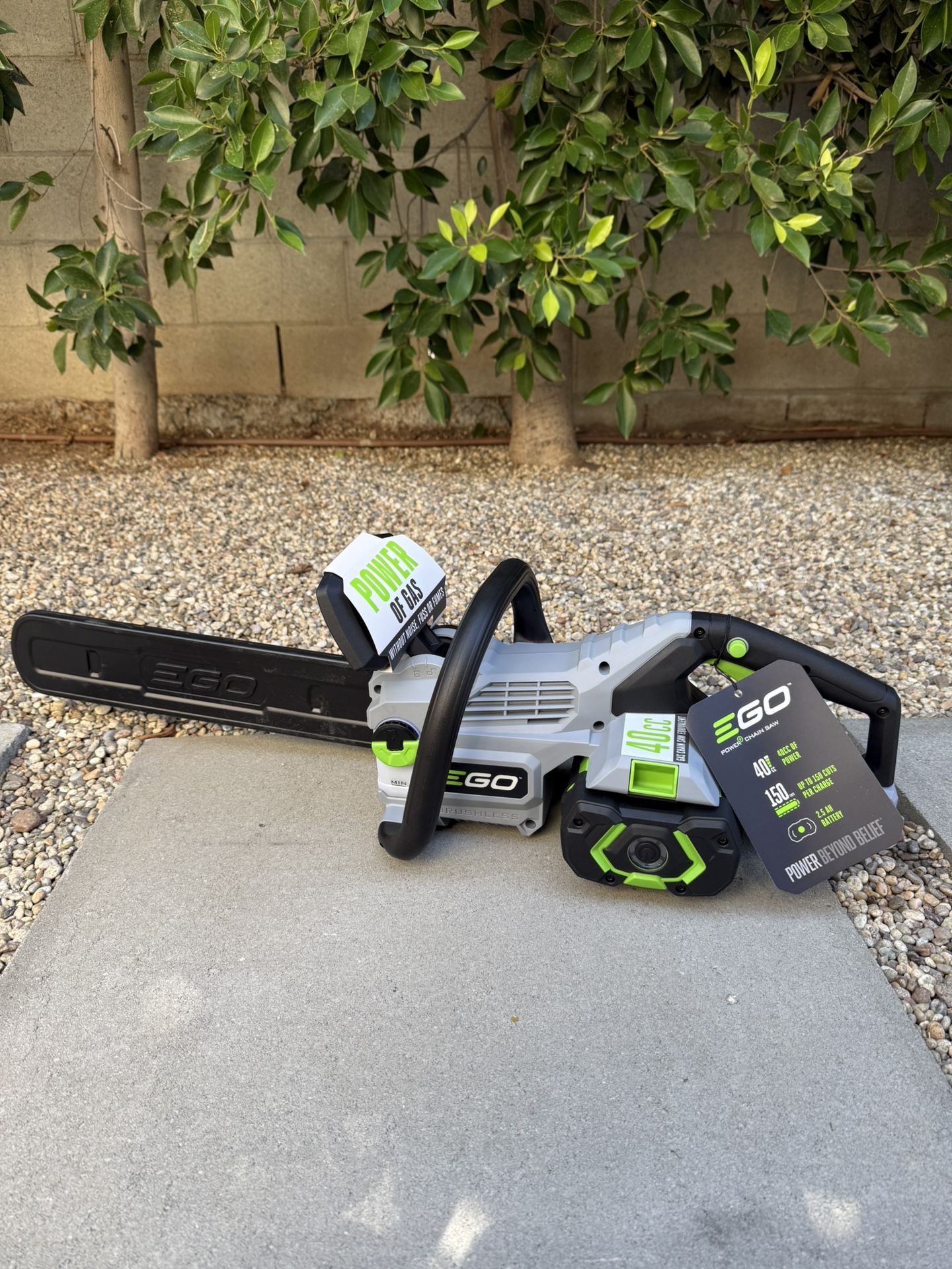 EGO 16” Power + 16” Cordless Chain Saw