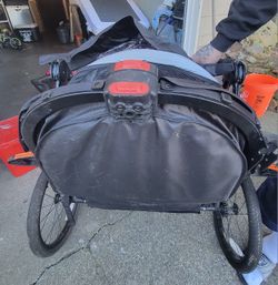 Schwinn Double Joyrider Carrier