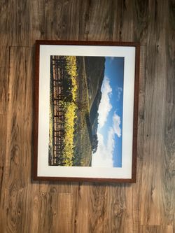 Framed Vineyard Photo 22.5 x 30.5 inches