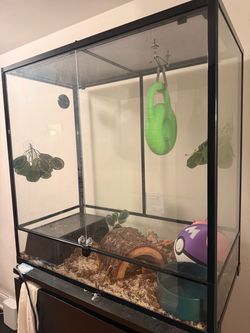 Reptile Tank