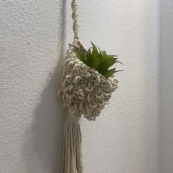 Macramé Plant Hanger 