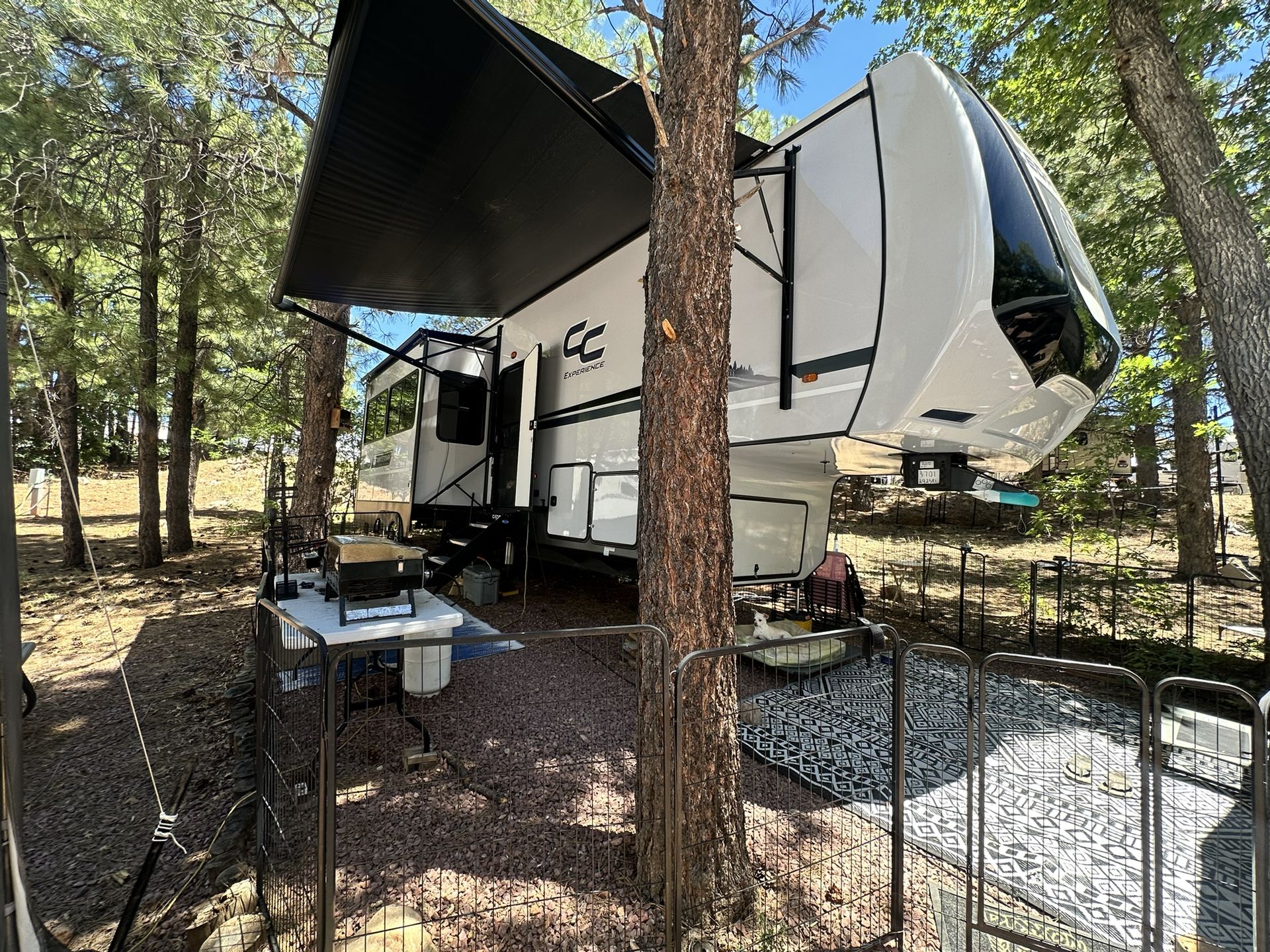 2024 Forest River 2925RL