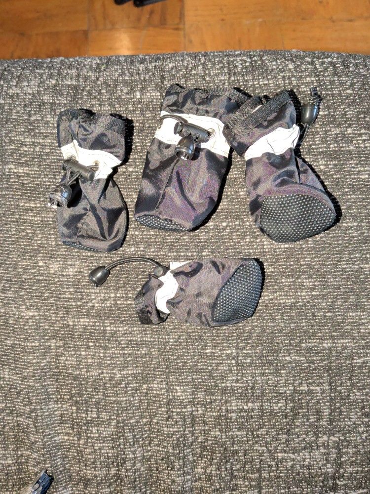 Dog Rain Boots