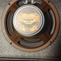 Guitar Speaker 8 Inch