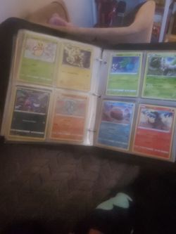 Full Pokemon Binder 