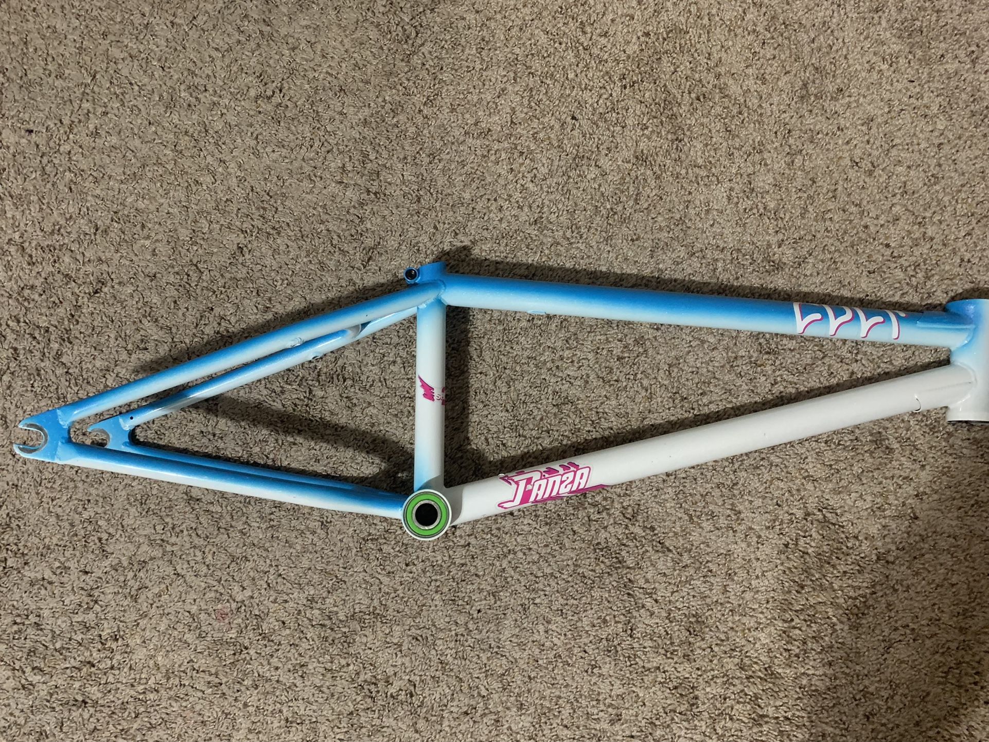 Cult Anthony panza signature frame