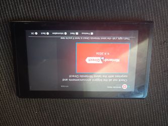 Nintendo only the consile
