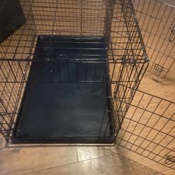Cage
