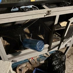 Guinea Pig, Cage Or Rabbit Cage